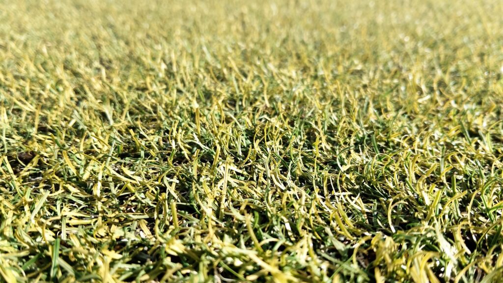 歩かない場所の10年目のネット通販人工芝